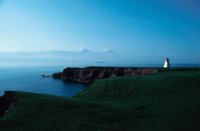 010309_0775_0002_nsls.jpg