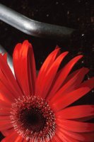 010109_0617_0115_nsls.jpg