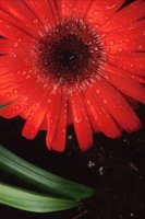 010109_0617_0098_nsls.jpg