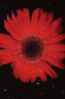 010109_0617_0097_nsls.jpg