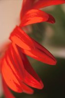 010109_0617_0080_nsls.jpg