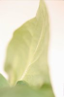 010109_0617_0078_nsls.jpg