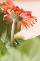 010109_0617_0075_nsls.jpg