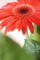 010109_0617_0072_nsls.jpg