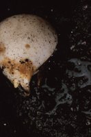 010109_0617_0067_nsls.jpg