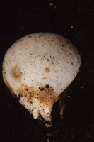 010109_0617_0066_nsls.jpg