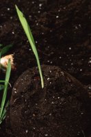 010109_0617_0065_nsls.jpg