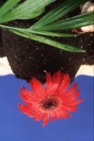 010109_0617_0064_nsls.jpg