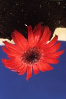 010109_0617_0063_nsls.jpg