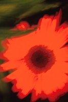 010109_0617_0061_nsls.jpg