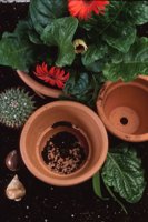 010109_0617_0056_nsls.jpg