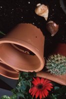 010109_0617_0055_nsls.jpg