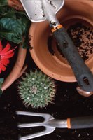 010109_0617_0054_nsls.jpg