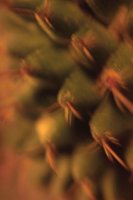 010109_0617_0040_nsls.jpg