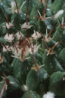 010109_0617_0039_nsls.jpg