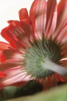 010109_0617_0016_nsls.jpg