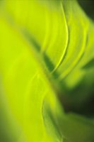 010109_0617_0011_nsls.jpg