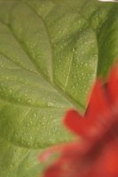 010109_0617_0006_nsls.jpg
