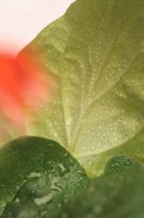 010109_0617_0005_nsls.jpg
