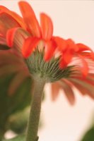 010109_0617_0002_nsls.jpg