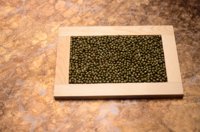 010109_0615_0088_nsls.jpg