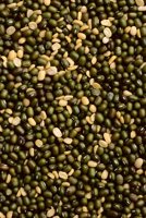 010109_0615_0014_nsls.jpg