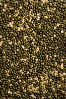010109_0615_0013_nsls.jpg