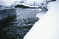 010103_0609_0035_nsls.jpg