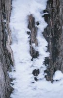 010103_0609_0029_nsls.jpg