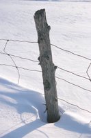 010103_0609_0018_nsls.jpg