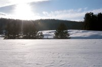 010103_0609_0016_nsls.jpg