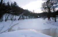 010103_0609_0010_nsls.jpg