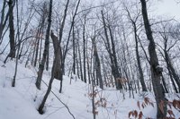 010103_0609_0006_nsls.jpg