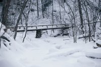 010103_0609_0005_nsls.jpg