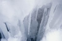 010103_0609_0003_nsls.jpg