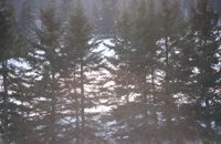 010103_0608_0036_nsls.jpg