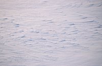 010103_0608_0035_nsls.jpg