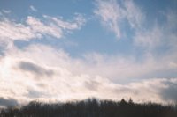 010103_0608_0034_nsls.jpg