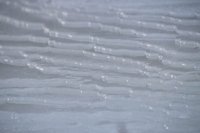 010103_0608_0021_nsls.jpg