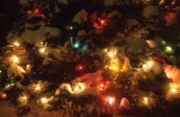 010103_0608_0020_nsls.jpg