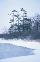 010103_0608_0018_nsls.jpg