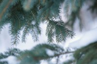 010103_0608_0016_nsls.jpg