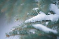 010103_0608_0015_nsls.jpg