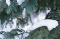 010103_0608_0011_nsls.jpg