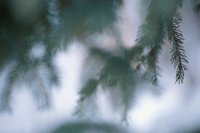 010103_0608_0010_nsls.jpg