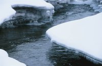 010103_0608_0006_nsls.jpg