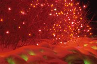 010103_0607_0037_nsls.jpg