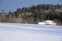 010103_0607_0036_nsls.jpg