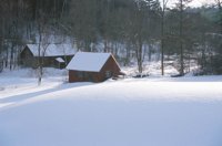 010103_0607_0034_nsls.jpg