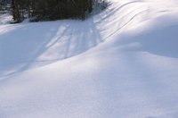 010103_0607_0029_nsls.jpg